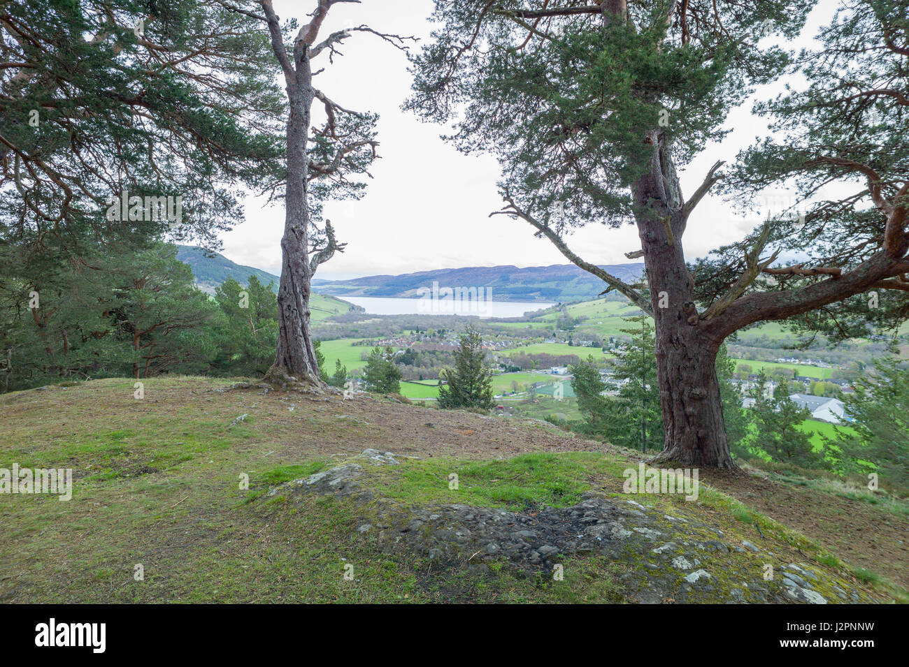 Viewpoint in Woodland Trust Balmacaan Woods overlooking Drumnadrochit Inverness Scotland Stock Photo