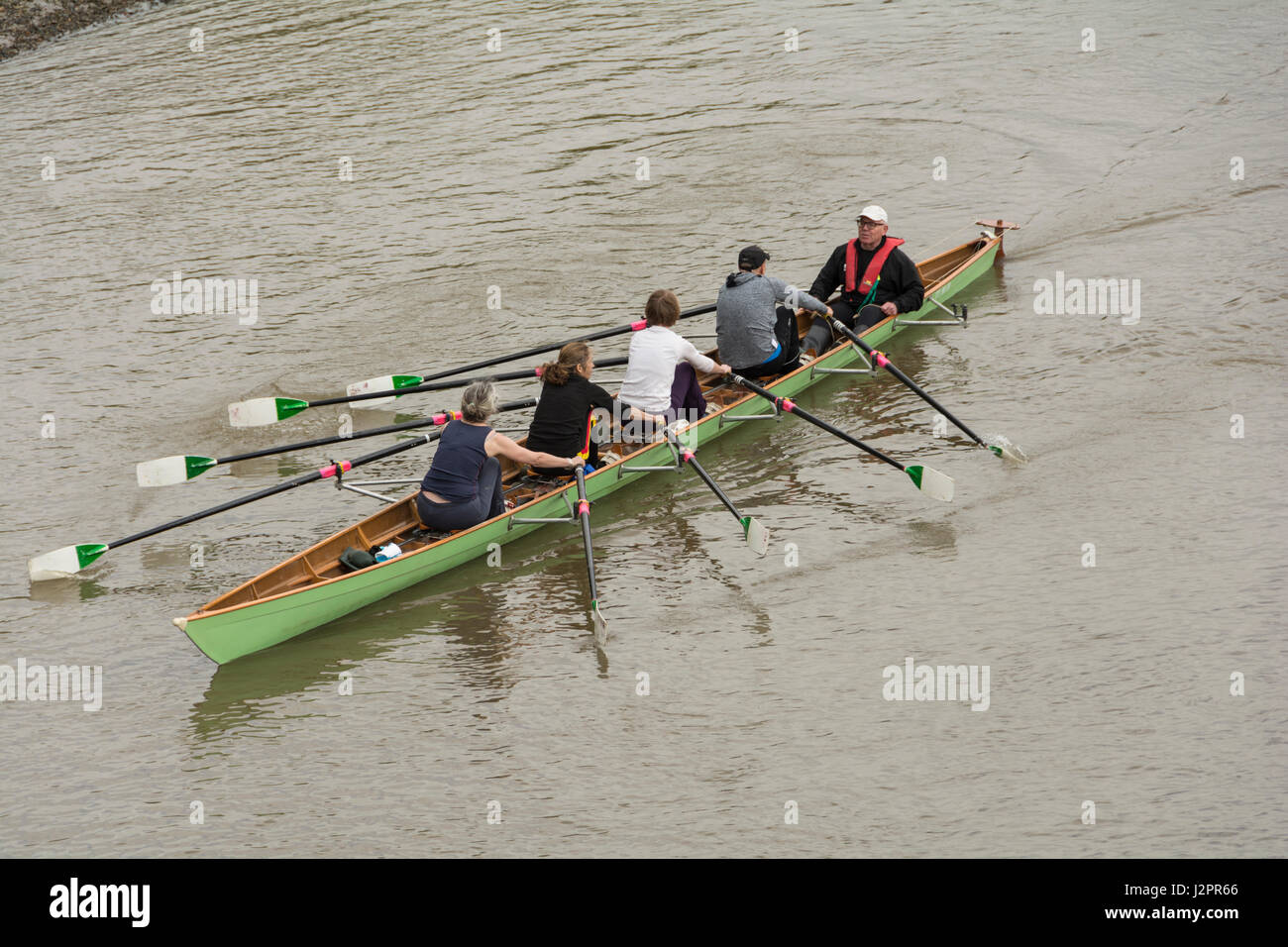 A skiff being rowed on the River Thames in London, England, UK Stock Photo