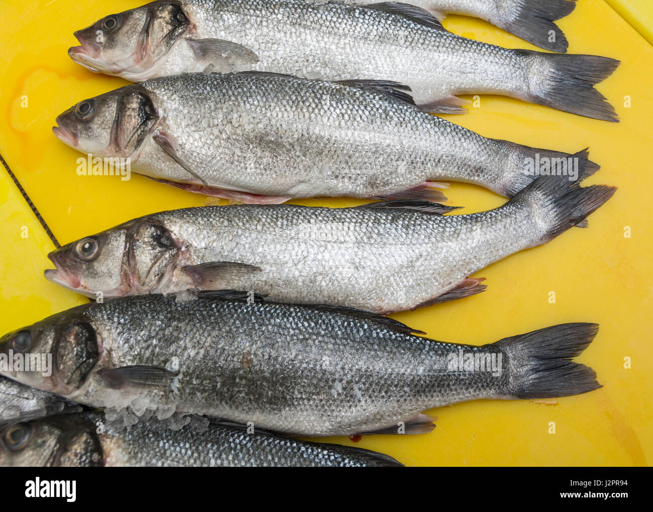 Grey mullet on a yellow chopping board Stock Photo