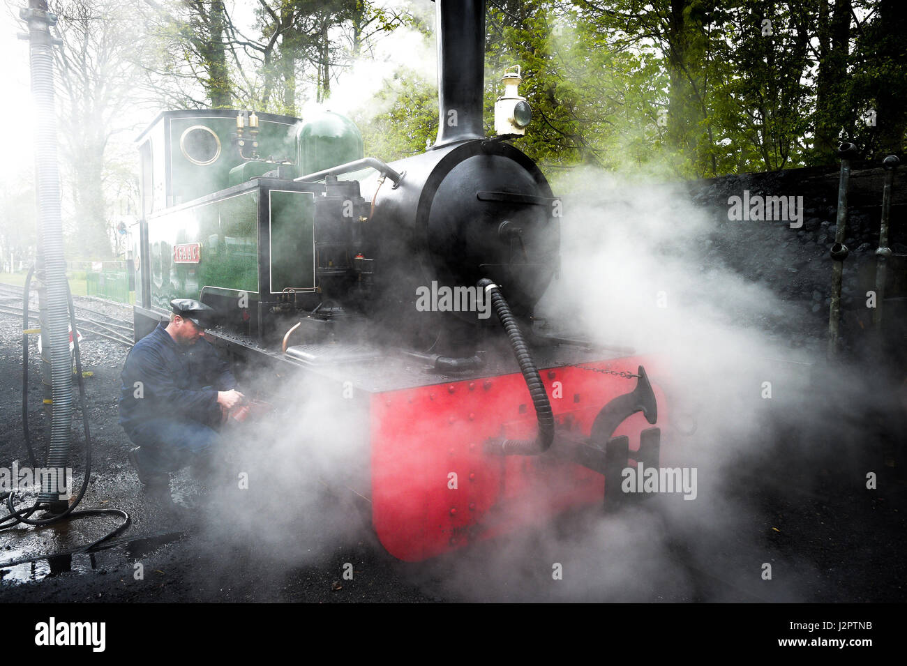 Driver Chris Carder oils the motion on Isaac, a 1952 narrow gauge steam locomotive, in between runs from Woody Bay station on the reopened railway section between Lynton and Barnstaple, Devon. Stock Photo