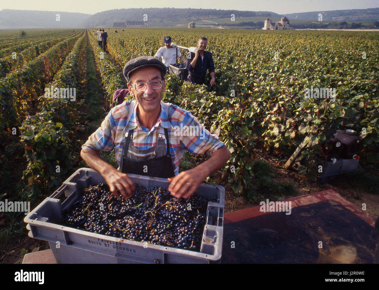 Domaine faiveley hires stock photography and images Alamy