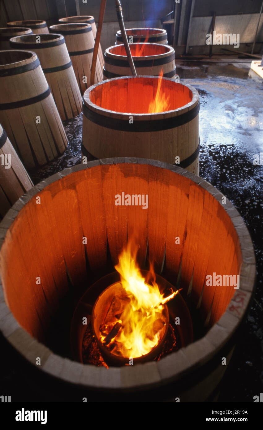 Wine oak barrel & fire making at the Louis Jadot / Cadus cooperage  Heat from the fire allows moistened barrel staves to be bent into shape. Ladoix-Serrigny, Côte d'Or, France Stock Photo