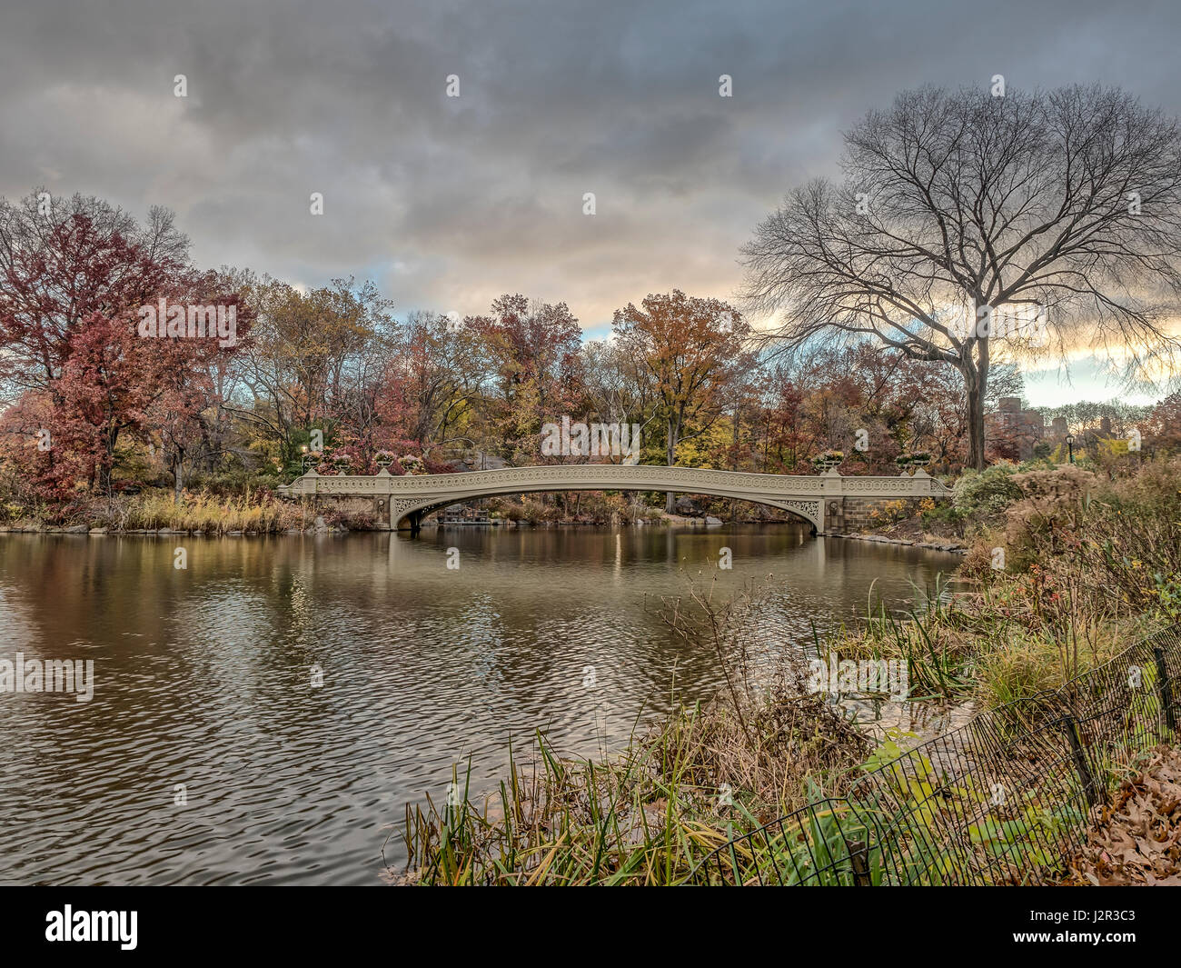 The Bow Bridge is a cast iron bridge located in Central Park, New York ...