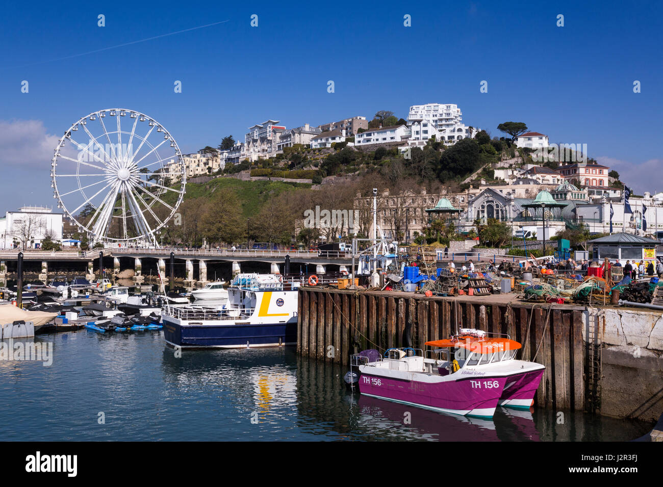 A view of the harbour at Torquay, Devon, UK Stock Photo