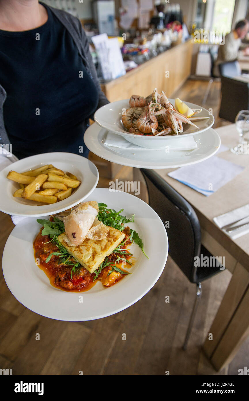 Restaurant interior Waitress serving Carrying plates of food Serving Service Food service industry Dining Stock Photo