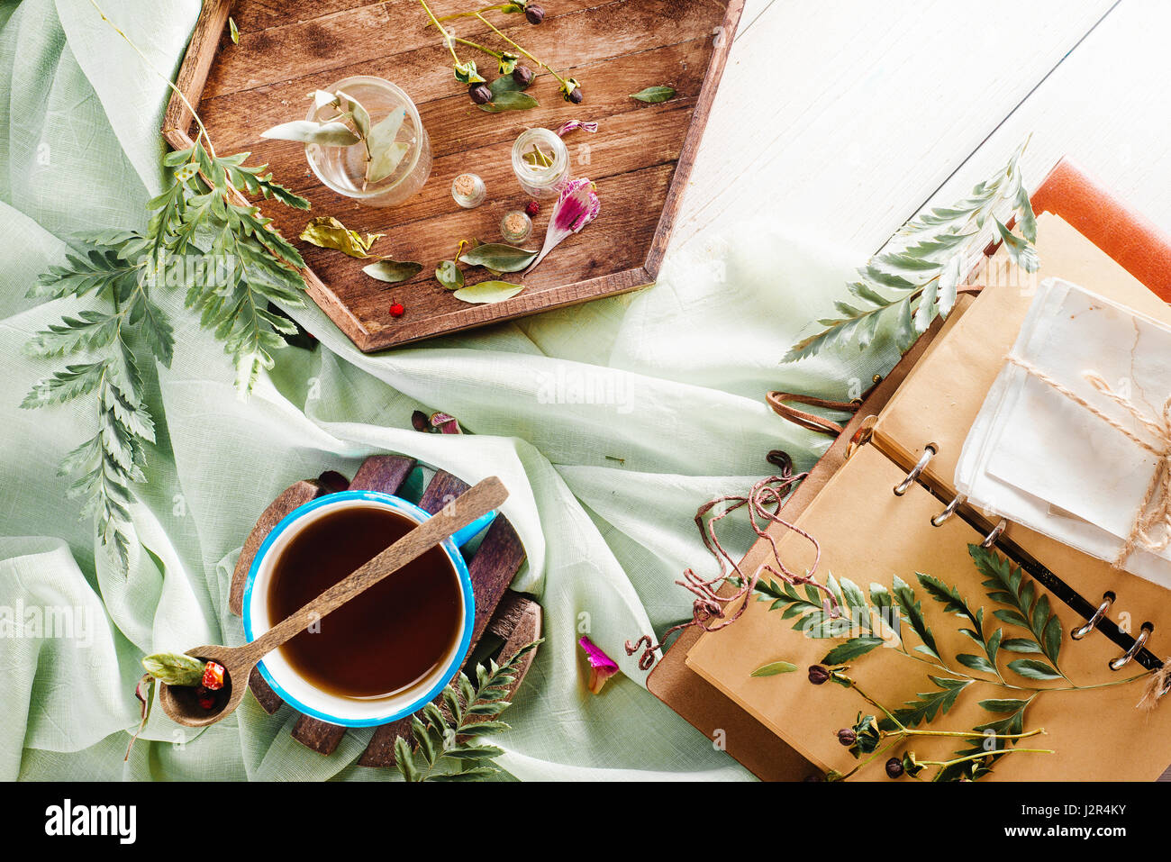 Nature flat lay with teacup, petals, herbs and ferns Stock Photo