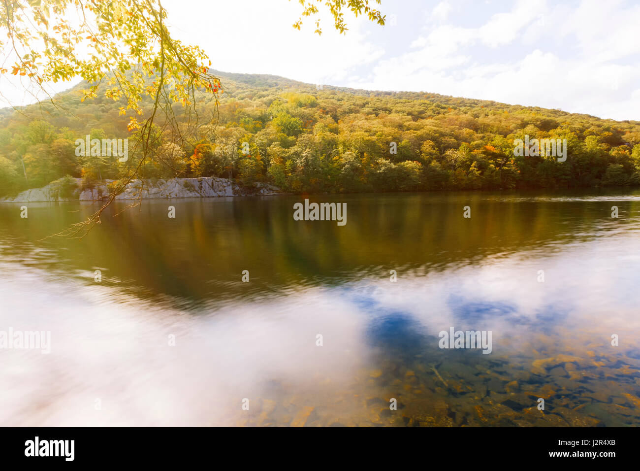 View of the beautiful forest lake Stock Photo - Alamy