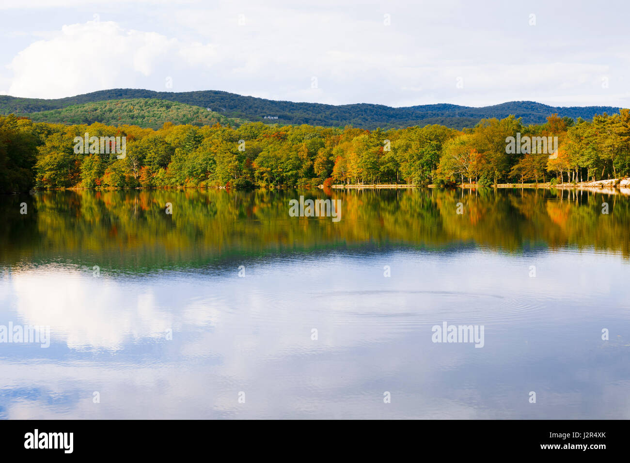 View of the beautiful forest lake Stock Photo - Alamy