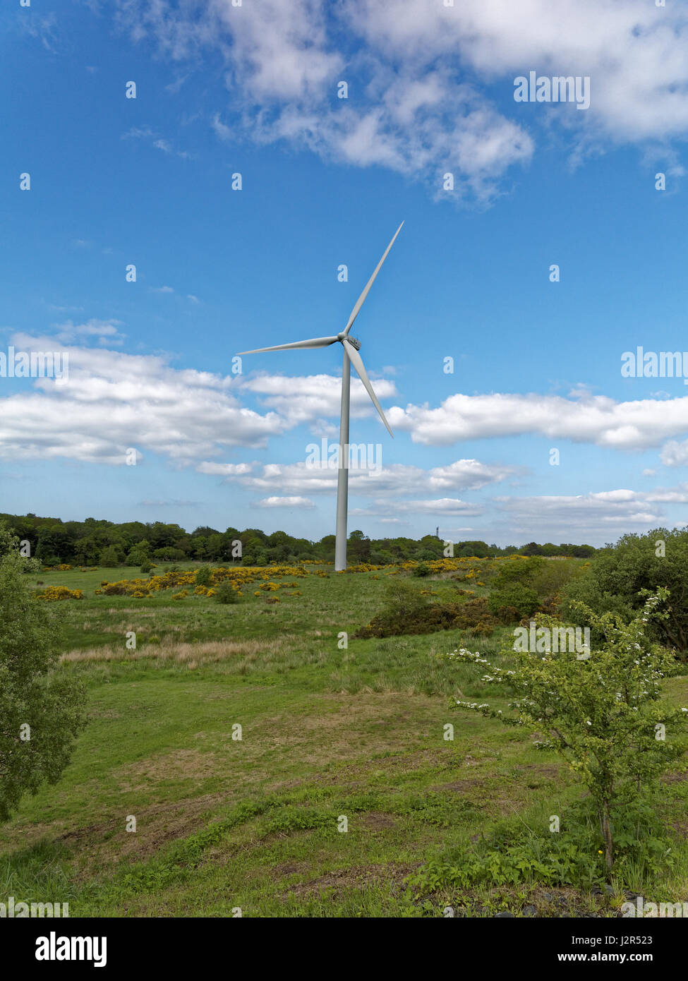 WIND TURBINE GENERATING ELECTRICITY Cathkin Braes Country Park, Glasgow sse SSE Stock Photo