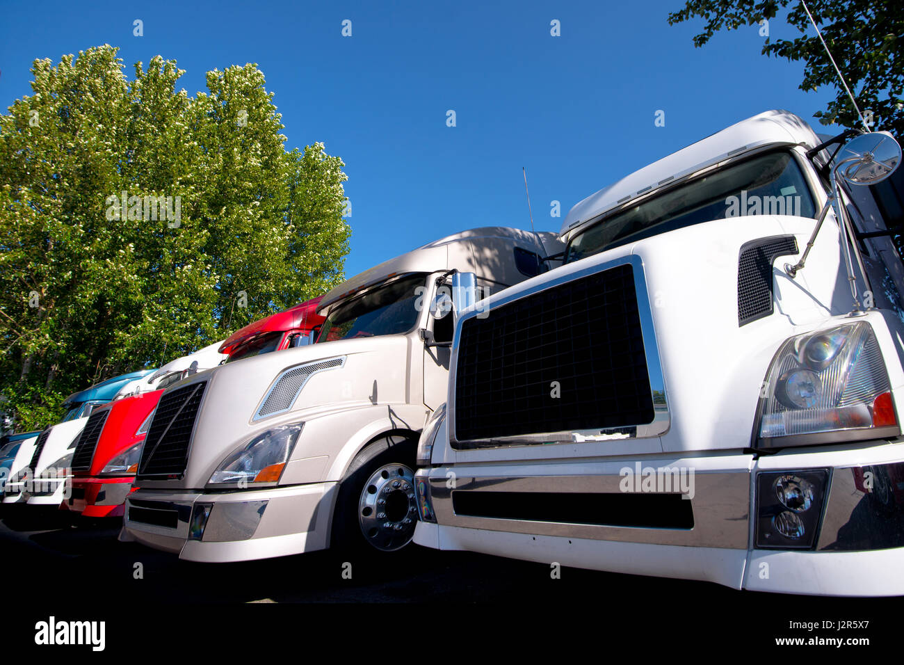 Colorful modern semi trucks lined up in a row on a truck stop and