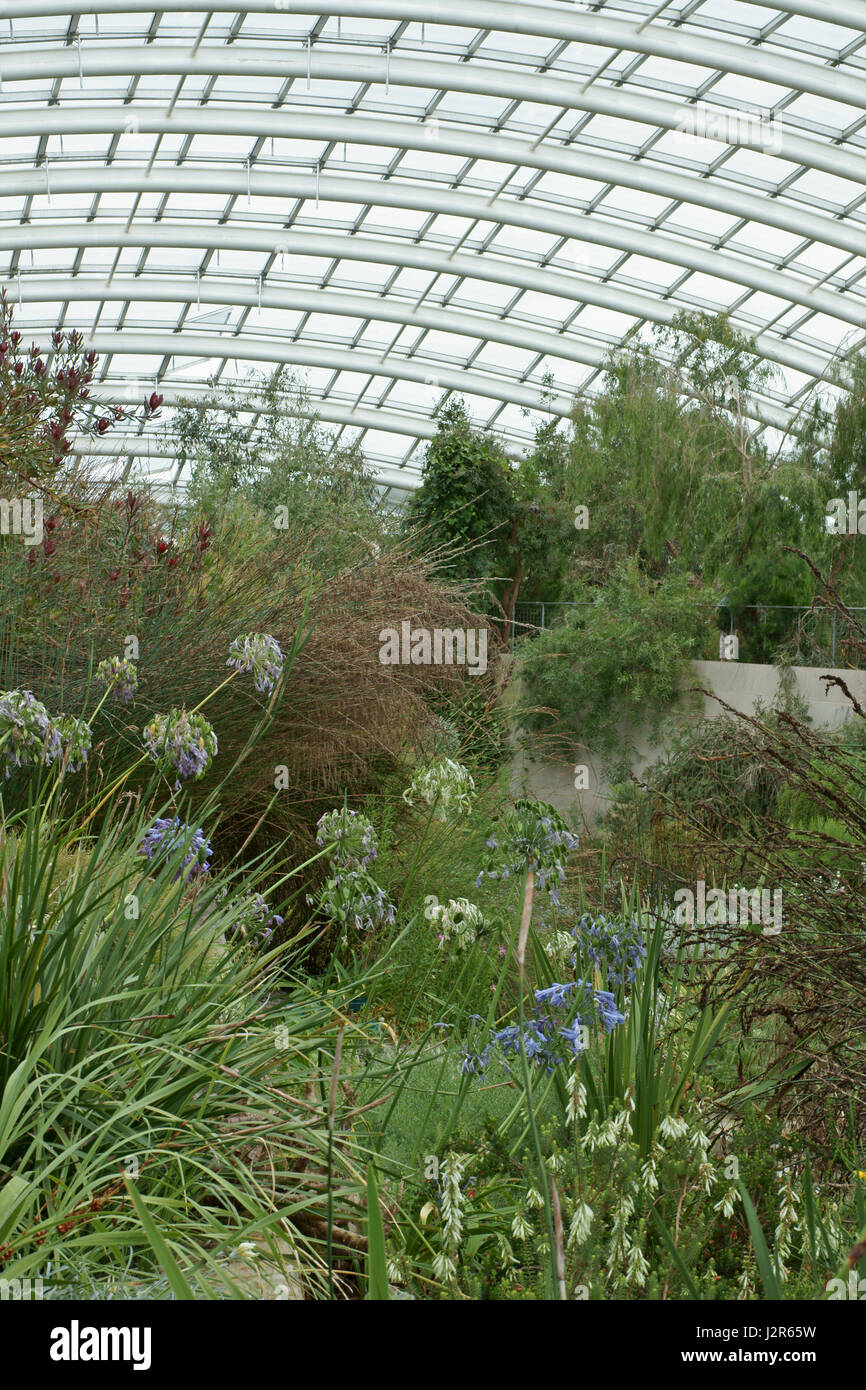 The Great Glasshouse Stock Photo Alamy