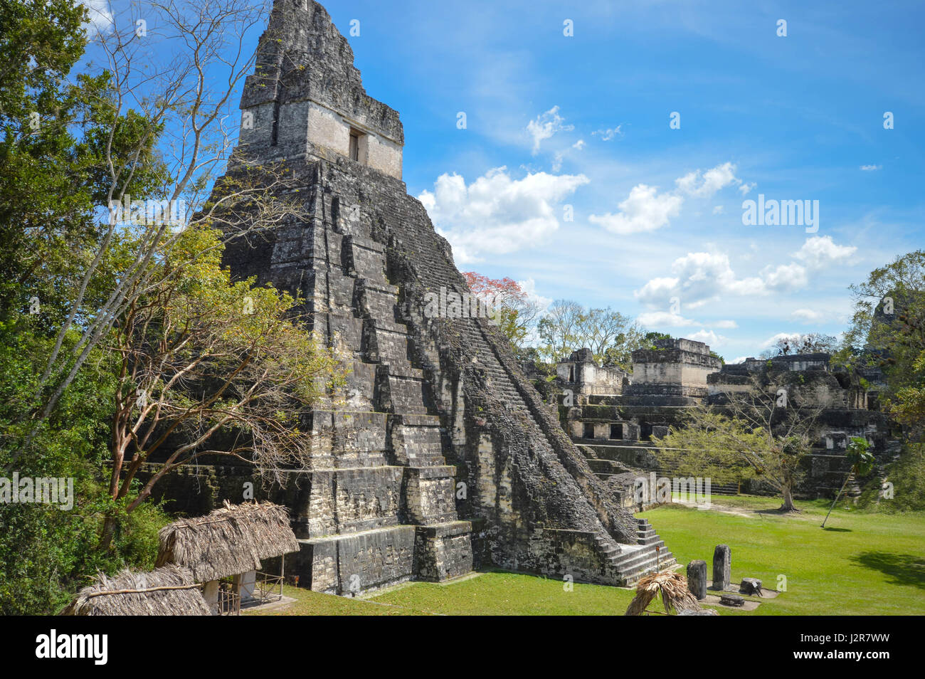 Temple I of the Maya archaeological site in Tikal National Park, Guatemala. Central America Stock Photo