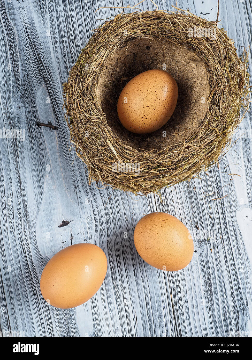 Bird nest and eggs Stock Photo - Alamy