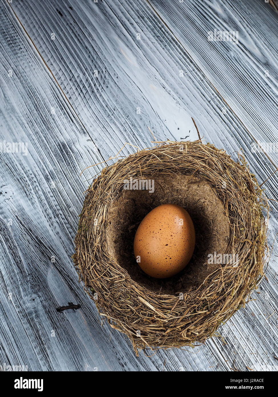 Bird nest and eggs Stock Photo Alamy