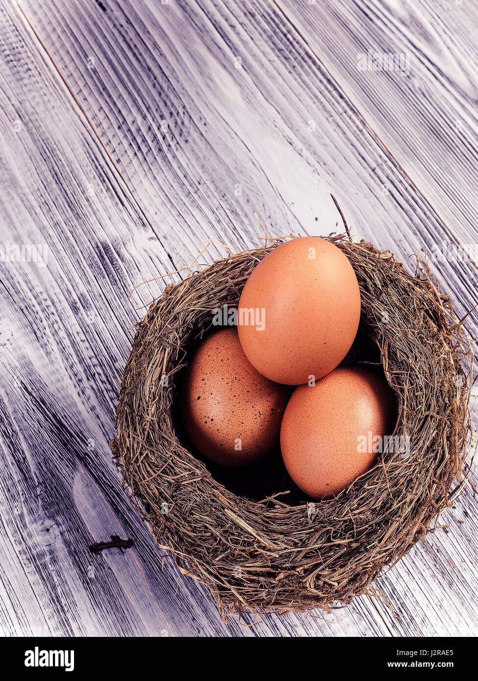 Bird nest and eggs Stock Photo Alamy