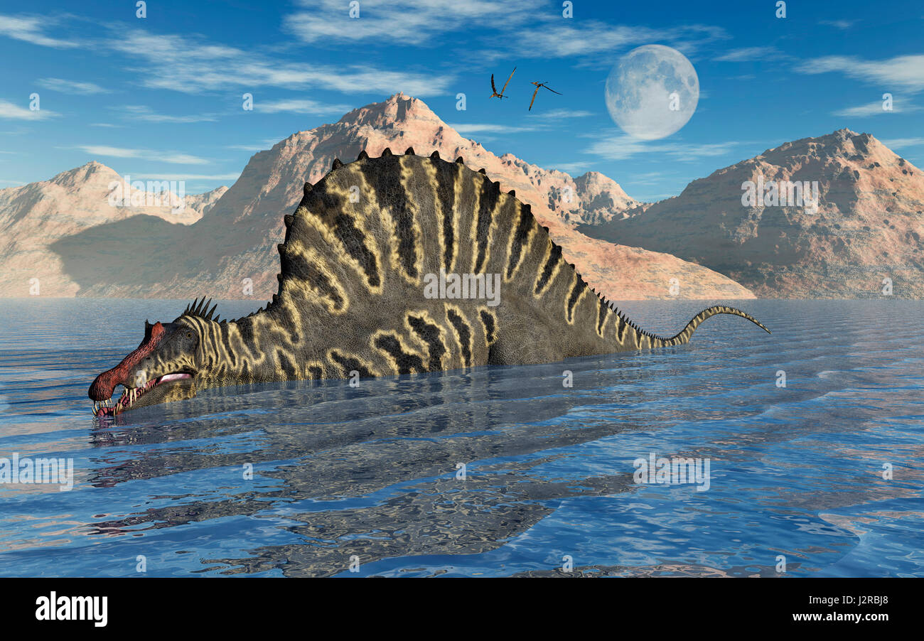 A Spinosaurus Swimming , During Earths Cretaceous Era , In What Is Modern Day North Africa. Stock Photo