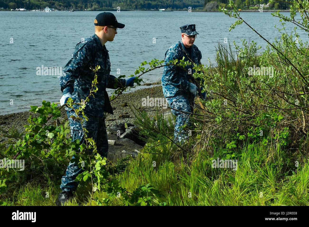 Fish Id Photo Hi res Stock Photography And Images Alamy