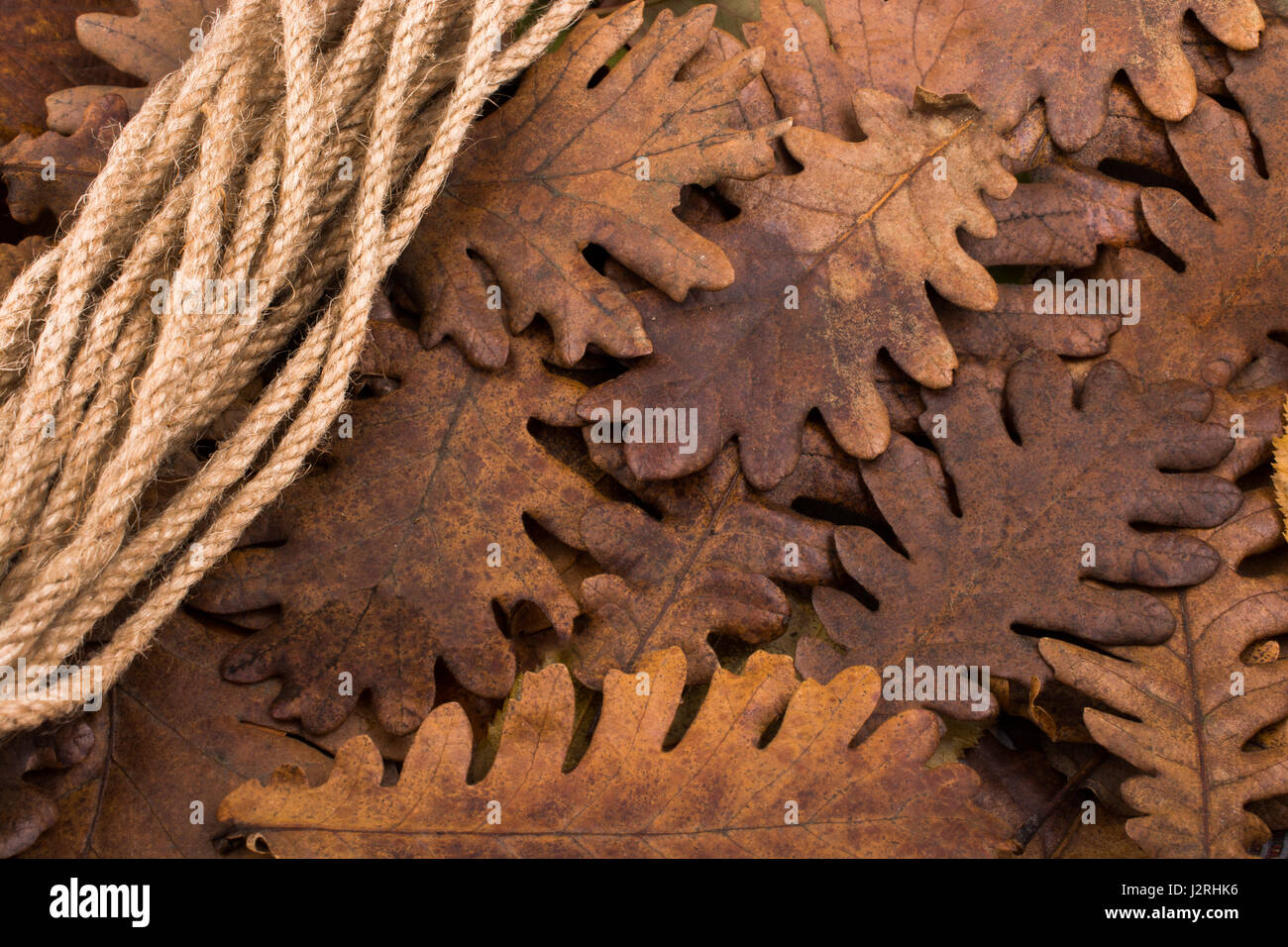 Rope and a dry leaf as an autumn background Stock Photo - Alamy
