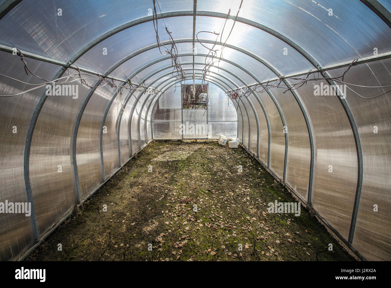 The greenhouse before planting in the spring Stock Photo - Alamy