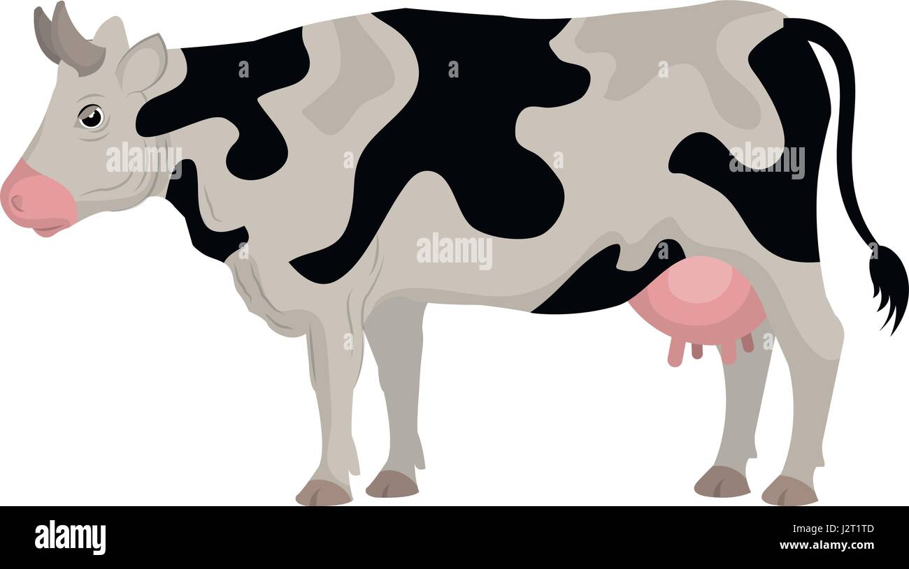 cow farm animal icon Stock Vector Image & Art - Alamy
