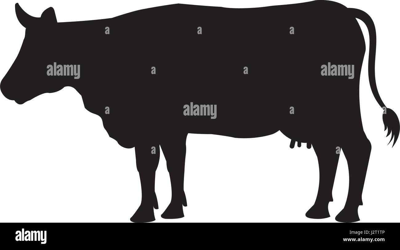 cow farm animal icon Stock Vector Image & Art - Alamy