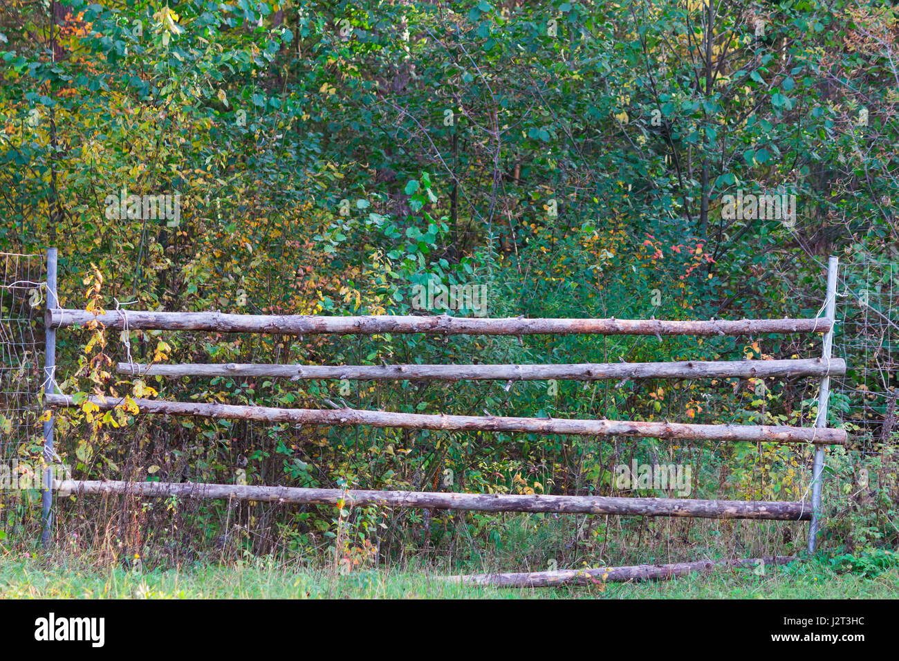 wooden fence in a park or a farm Stock Photo - Alamy