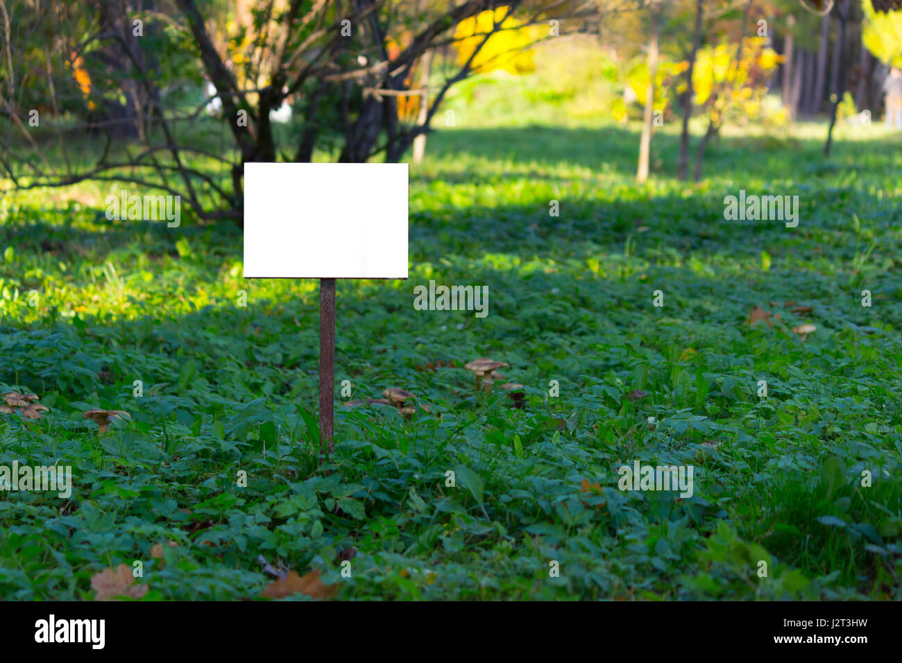 empty signboard in a park. copy space Stock Photo - Alamy