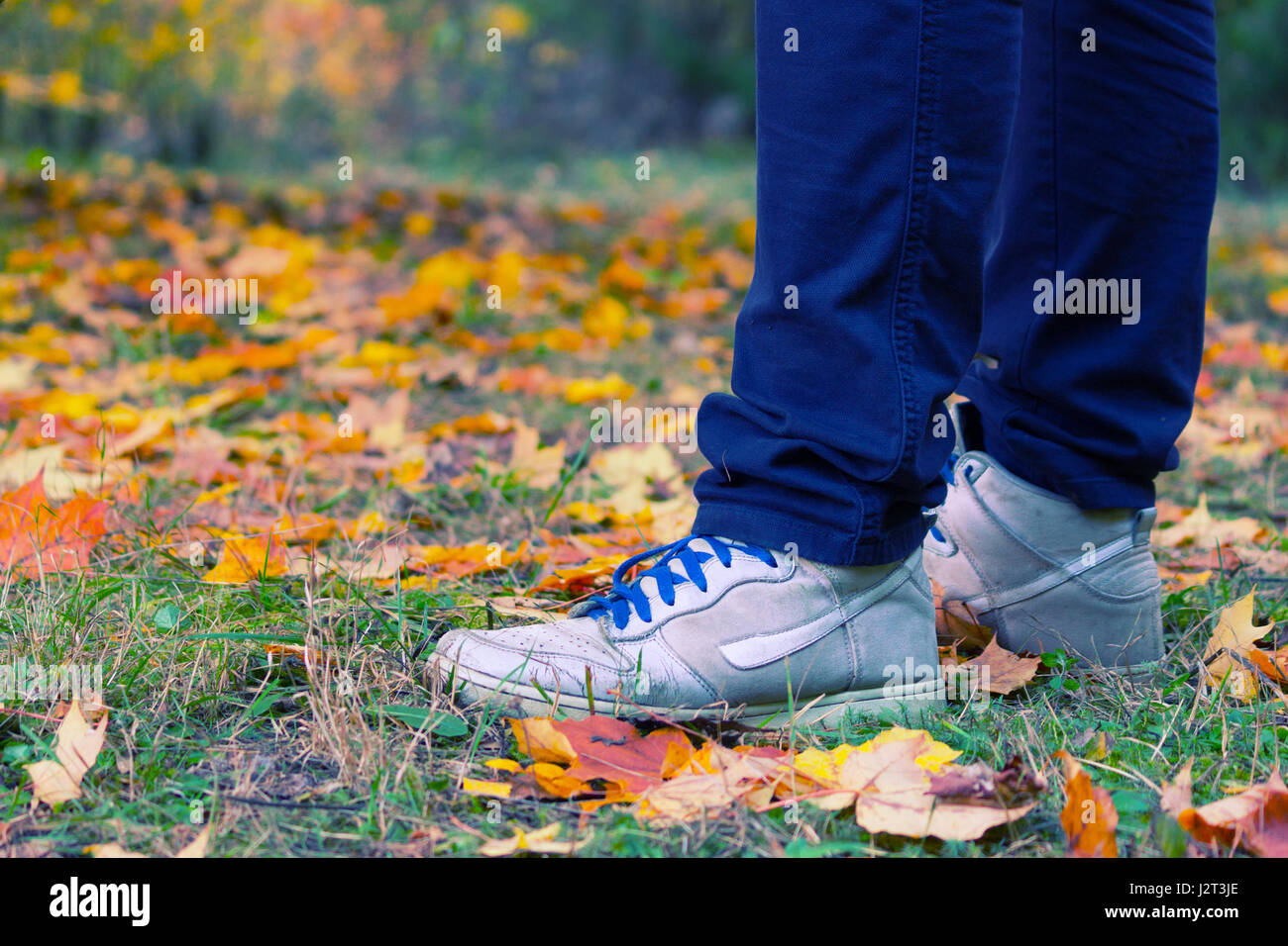 Autumn falls feet