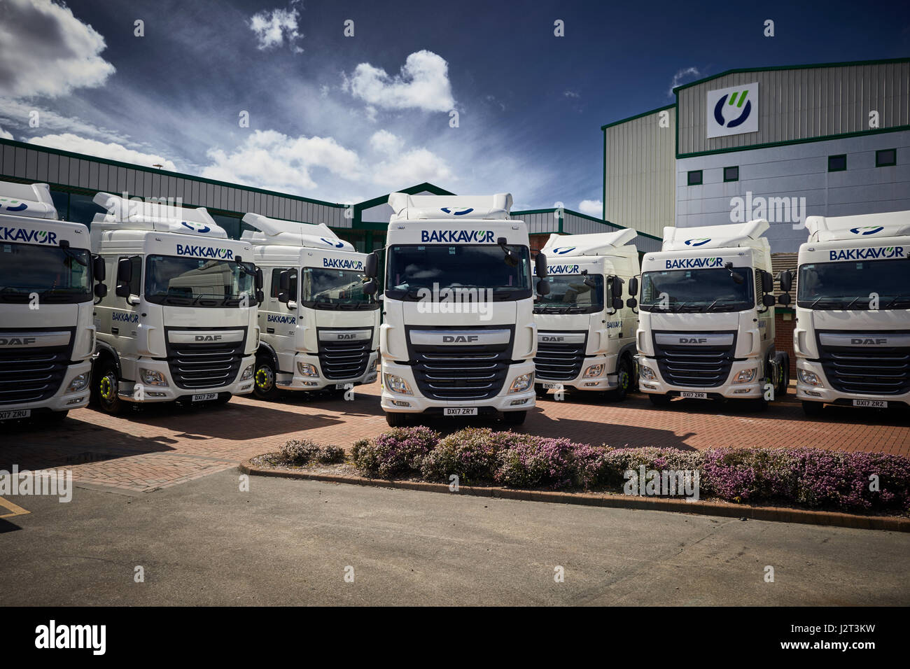 DAF HGV truck tractor units Stock Photo