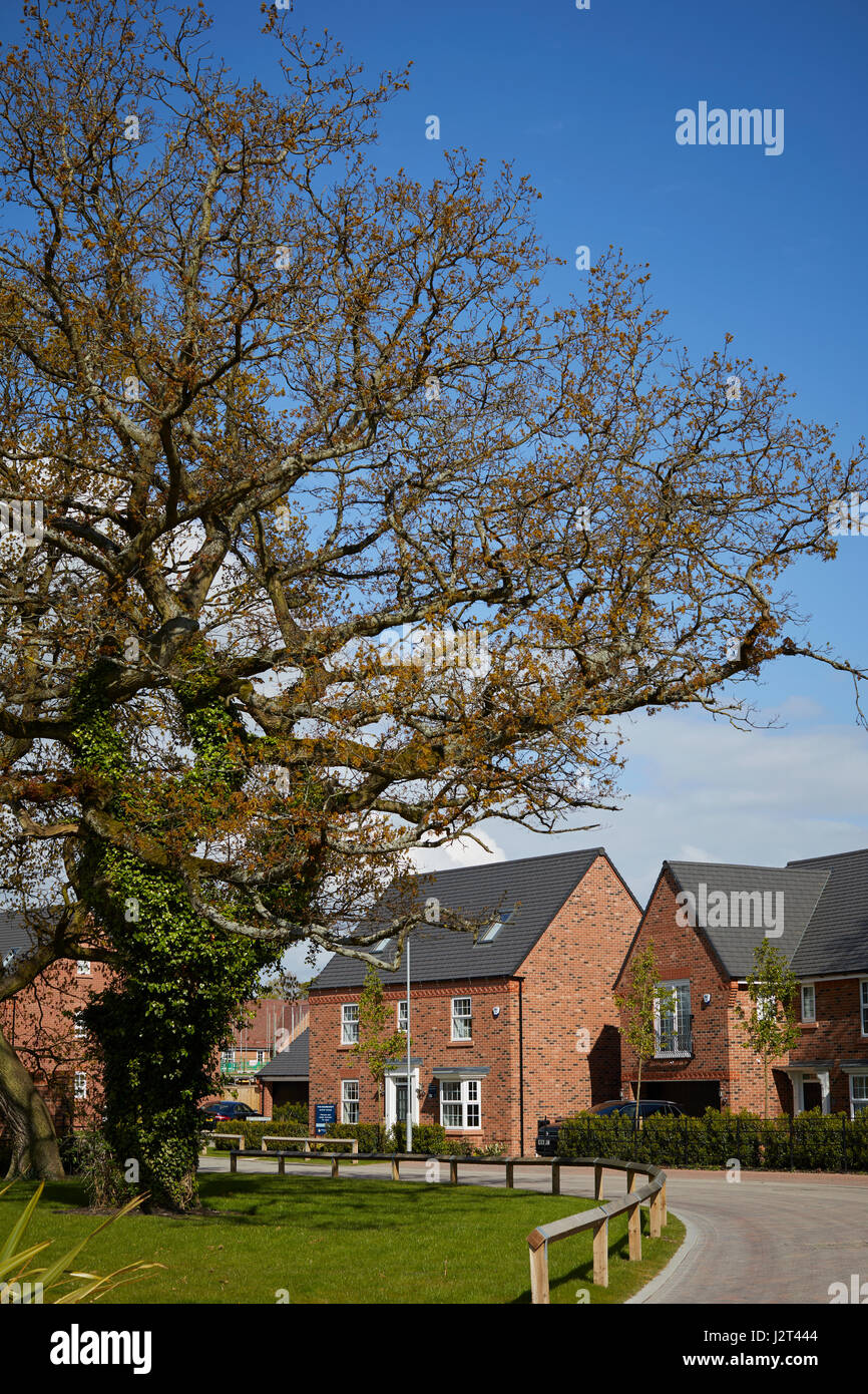 DAVID WILSON HOMES Bollin Park site in Wilmslow in Cheshire, England Stock Photo Alamy