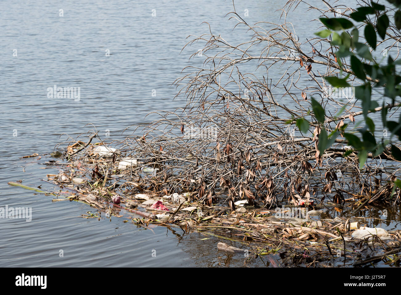 Problems water pollution environmental in our water resources Stock