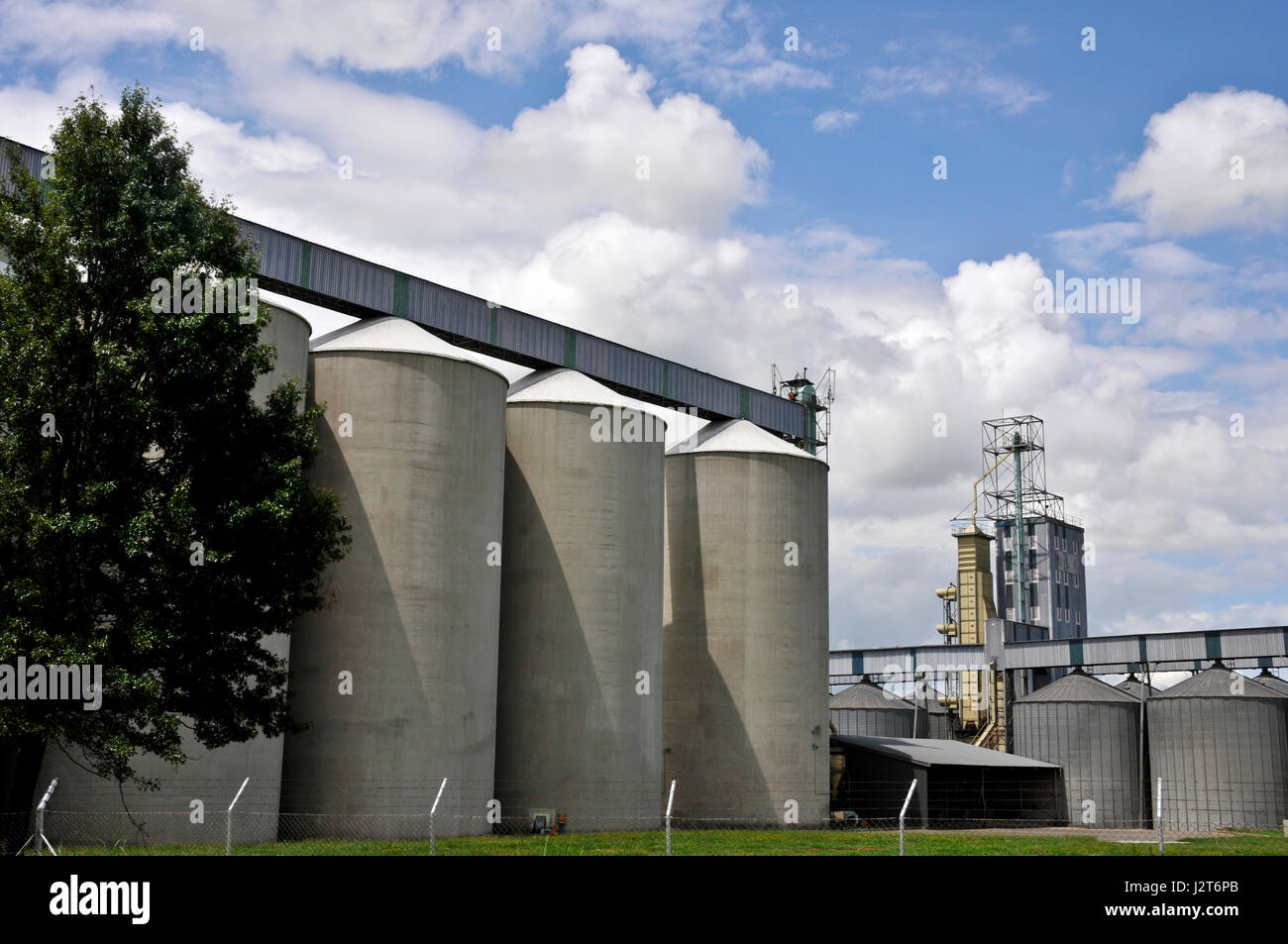 Maize storage facilities on farm land Stock Photo Alamy