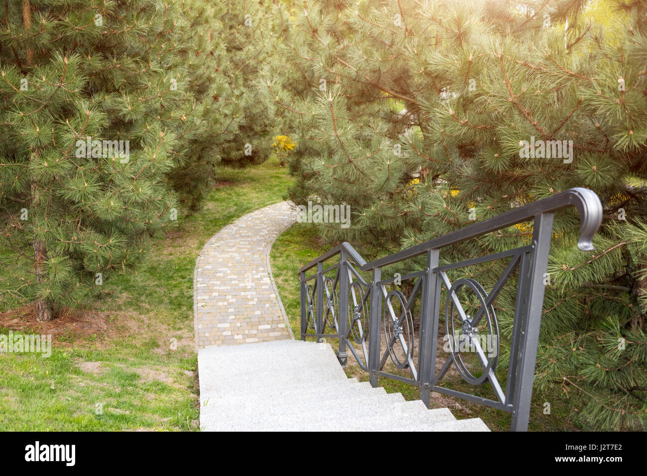 Winding path through the landscaped summer park. Green park outdoor ...
