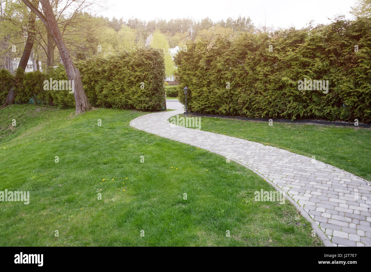Winding path through the landscaped summer park. Green park outdoor ...