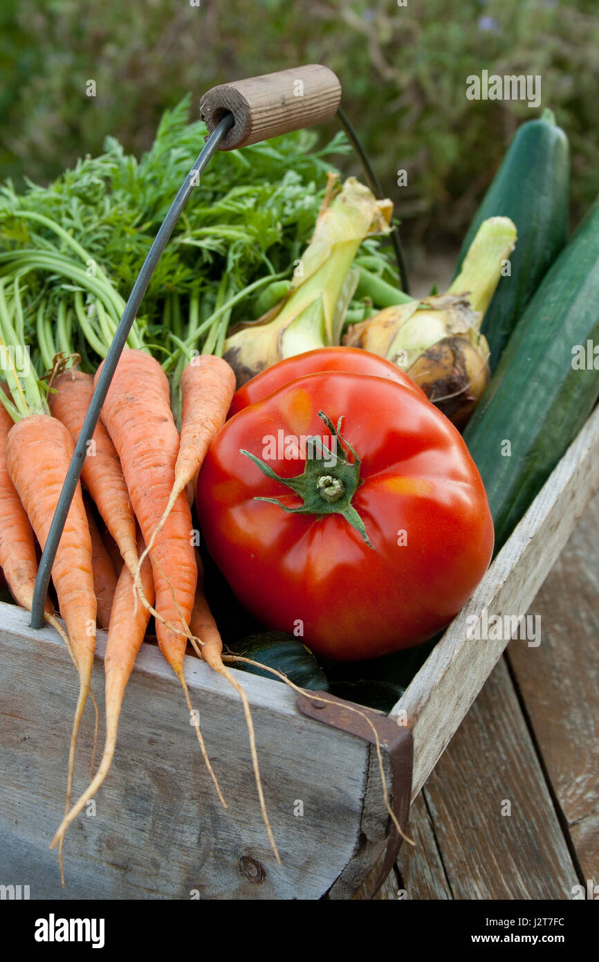 Basket of fresh vegetables Stock Photo