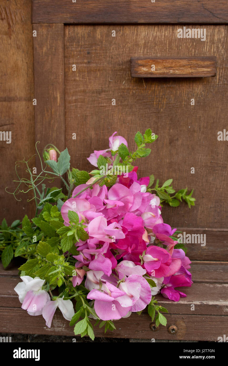 Bouquet with pink sweet peas Stock Photo