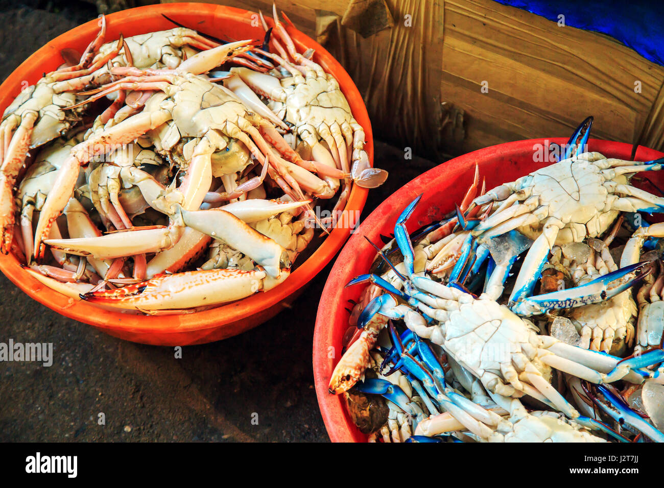 Raw crabs in the pelvis. The fish market in South India. Stock Photo