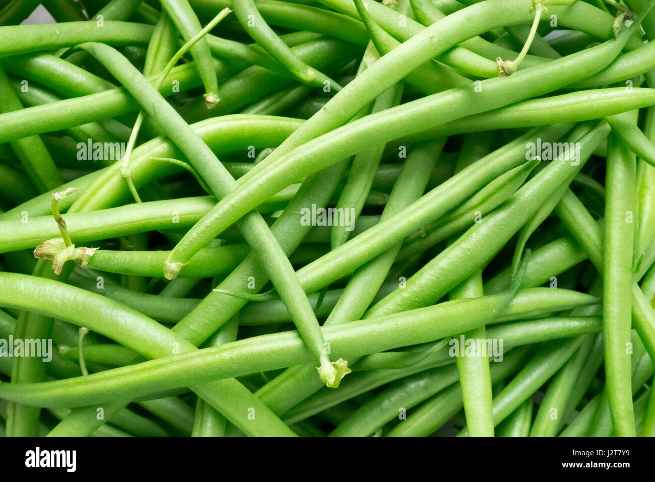 Grenn beans. Stock Photo