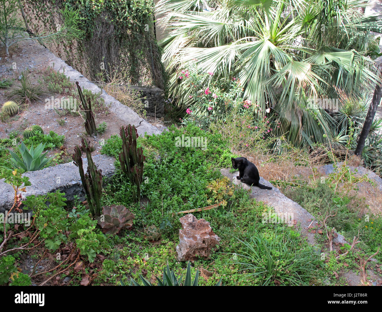 Loro Sexi Bird Park Cactus Garden Almunecar Grenada Province Stock Photo Alamy