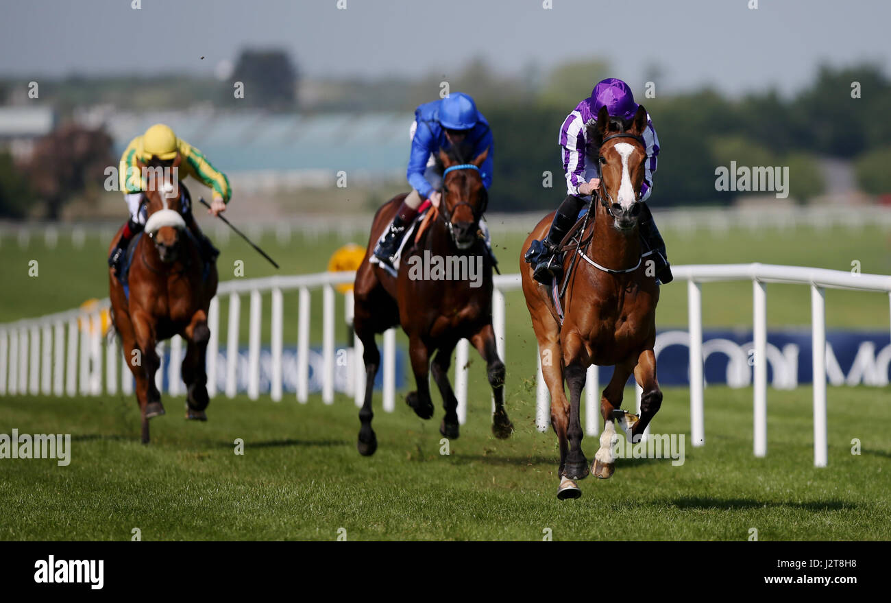 Minding ridden by Ryan Moore wins The Camelot Irish EBF Mooresbridge Stakes at Naas Racecourse. Stock Photo