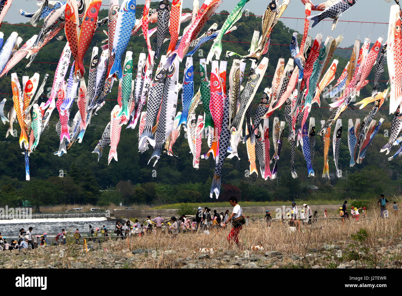 Sagamihara, Japan. 1st May, 2017. Some 1,200 colourful carp streamers
