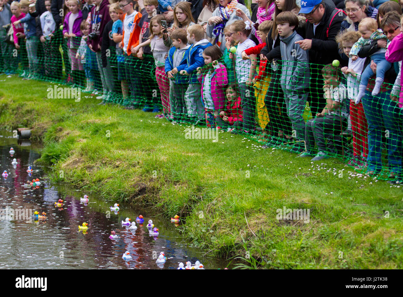 Bank Holiday crowds at a plastic duck race in Tarlescough, Nr Southport,  WWT Martin Mere Wetland Centre made a splash this bank holiday weekend with the fourth annual plastic duck race on MayDay. Children, and Mums & Dads, came in droves to paint a plastic duck to enter into the popular duck race over the bank holiday.  There were 200 ducks taking part in the race, a variety of colours and designs with the crowds going quackers as the sluice gate was opened to start the race. Credit: MediaWorldImages/Alamy Live News Stock Photo