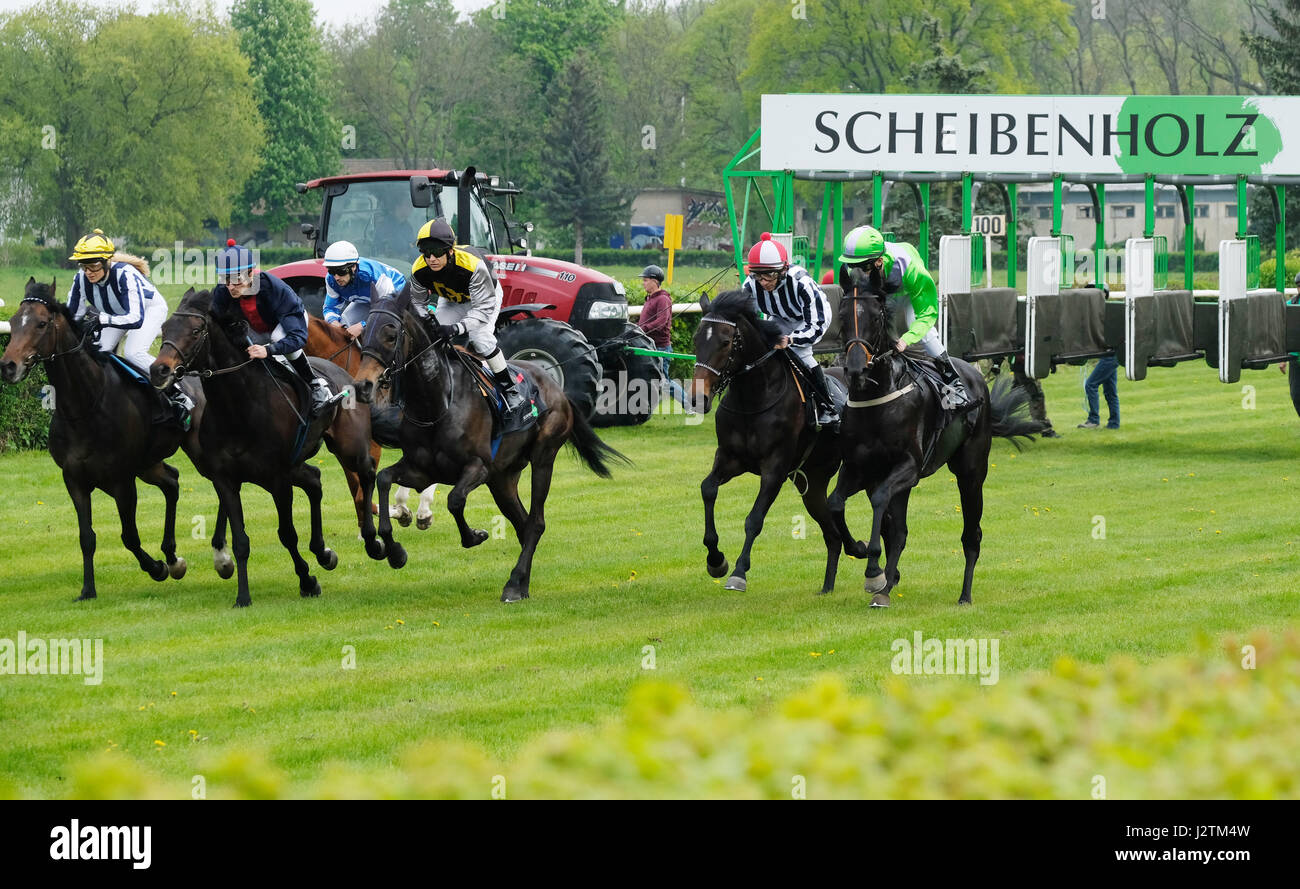 Leipzig, Germany. 01st May, 2017. Horses gallop at the Scheibenholz racecourse in Leipzig, Germany, 01 May 2017. 20,000 visitors were expected at the traditional trial gallop, in which 49 horses took part. The racecourse was constructed in 1867 and will turn 150 years old this year. Photo: Sebastian Willnow/dpa-Zentralbild/dpa/Alamy Live News Stock Photo