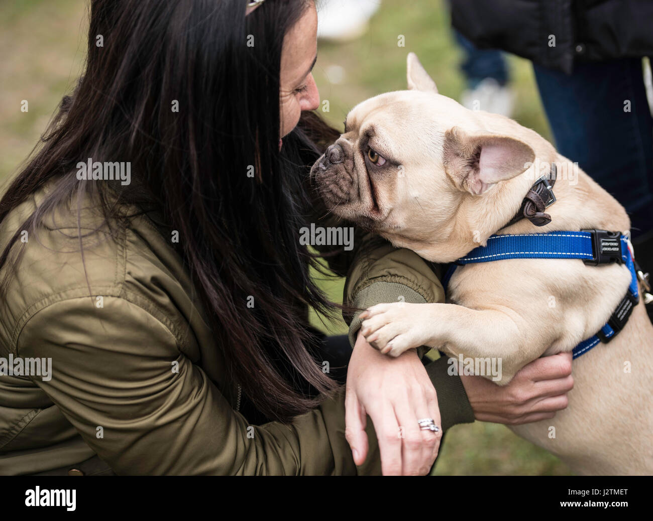Brentwood, Essex, 1st May 2017.  F2 Dog  at the Robin Hood Country show, Brentwood, Esse Credit: Ian Davidson/Alamy Live News Stock Photo