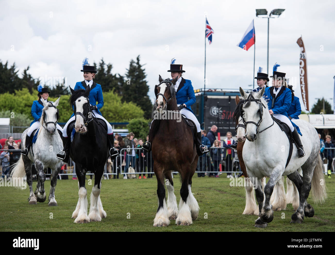 Brentwood, Essex, 1st May 2017, Heavy Horse Display team at the Robin Hood Country show, Brentwood, Essex Stock Photo