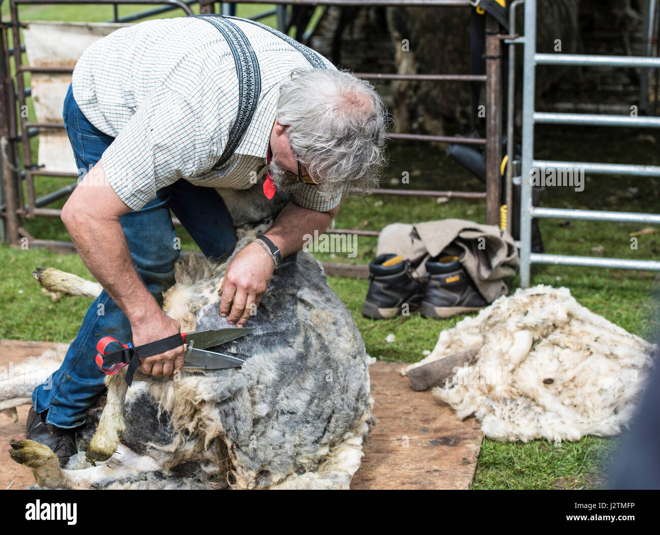 Brentwood, Essex, 1st May 2017.  Sheep sheering at the Robin Hood Country show, Brentwood, Essex Credit: Ian Davidson/Alamy Live News Stock Photo