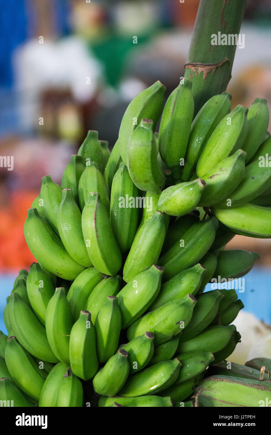 Green plantains hires stock photography and images Alamy