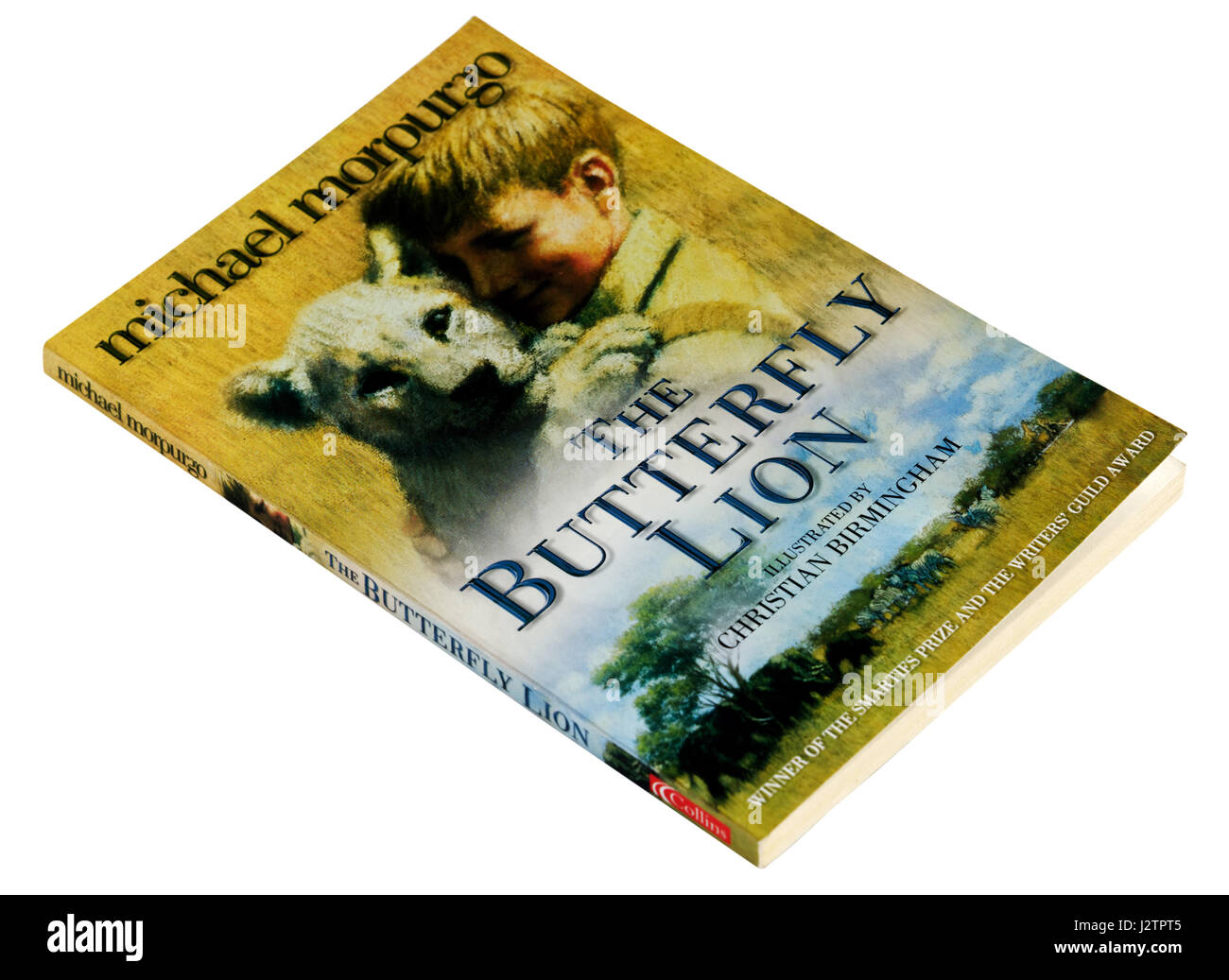 The Butterfly Lion by Michael Morpurgo Stock Photo Alamy