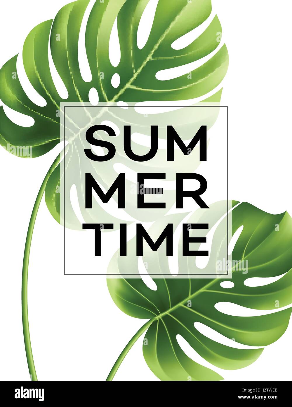 Summer poster with tropical palm leaf . Vector illustration Stock ...