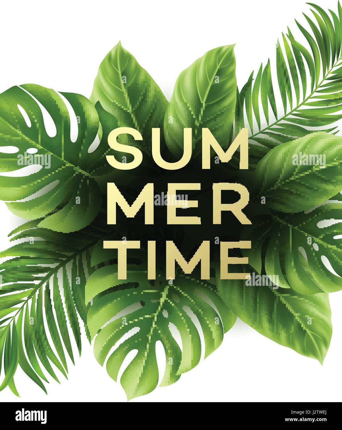 Summer poster with tropical palm leaf . Vector illustration Stock ...